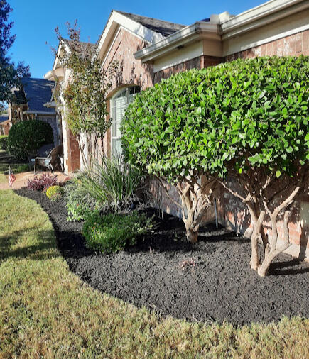 Flower Bed Clean up - New Plants and Mulch Installed Flower Bed Clean up - New Plants and Mulch Installed