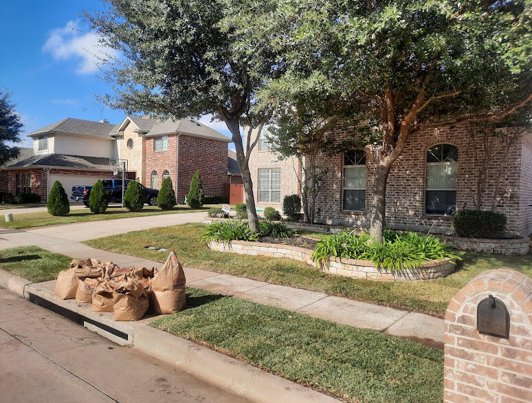 New Sod And Tree Pruning New Sod And Tree Pruning