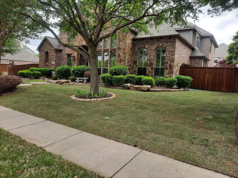 New Sod And Soil New Sod And Soil